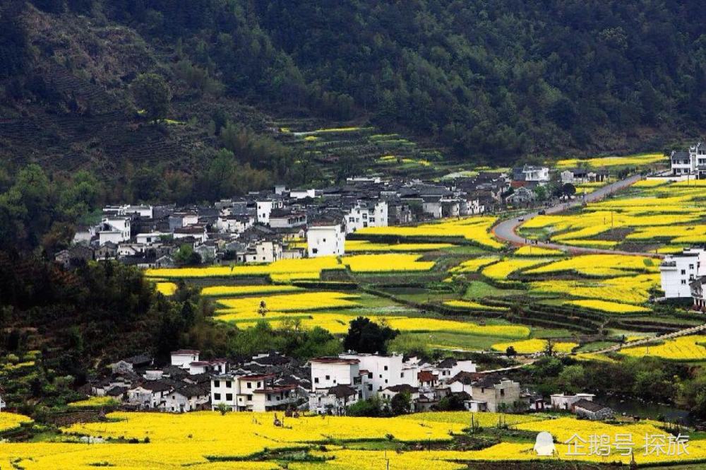 红色沃土绿色发展，江西共绘美好未来蓝图