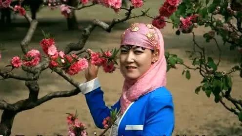 青海地理、历史与文化资源的深度探索